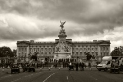 DSC_6082