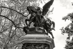 DSC_6096