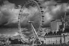 DSC_6188