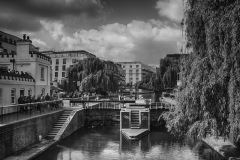 DSC_6290