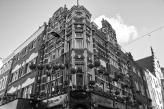 DSC_6363